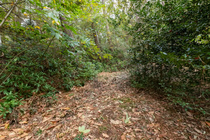 Foto 69 van Sparrenlaan 8