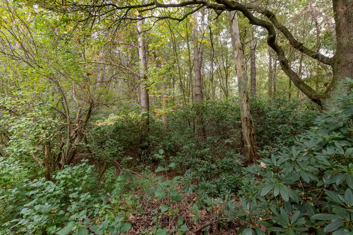 Foto 70 van Sparrenlaan 8