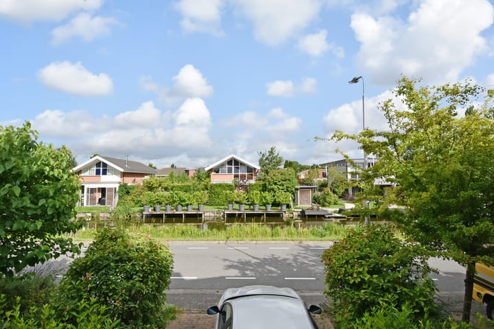 Foto 29 van Rodenrijseweg 271