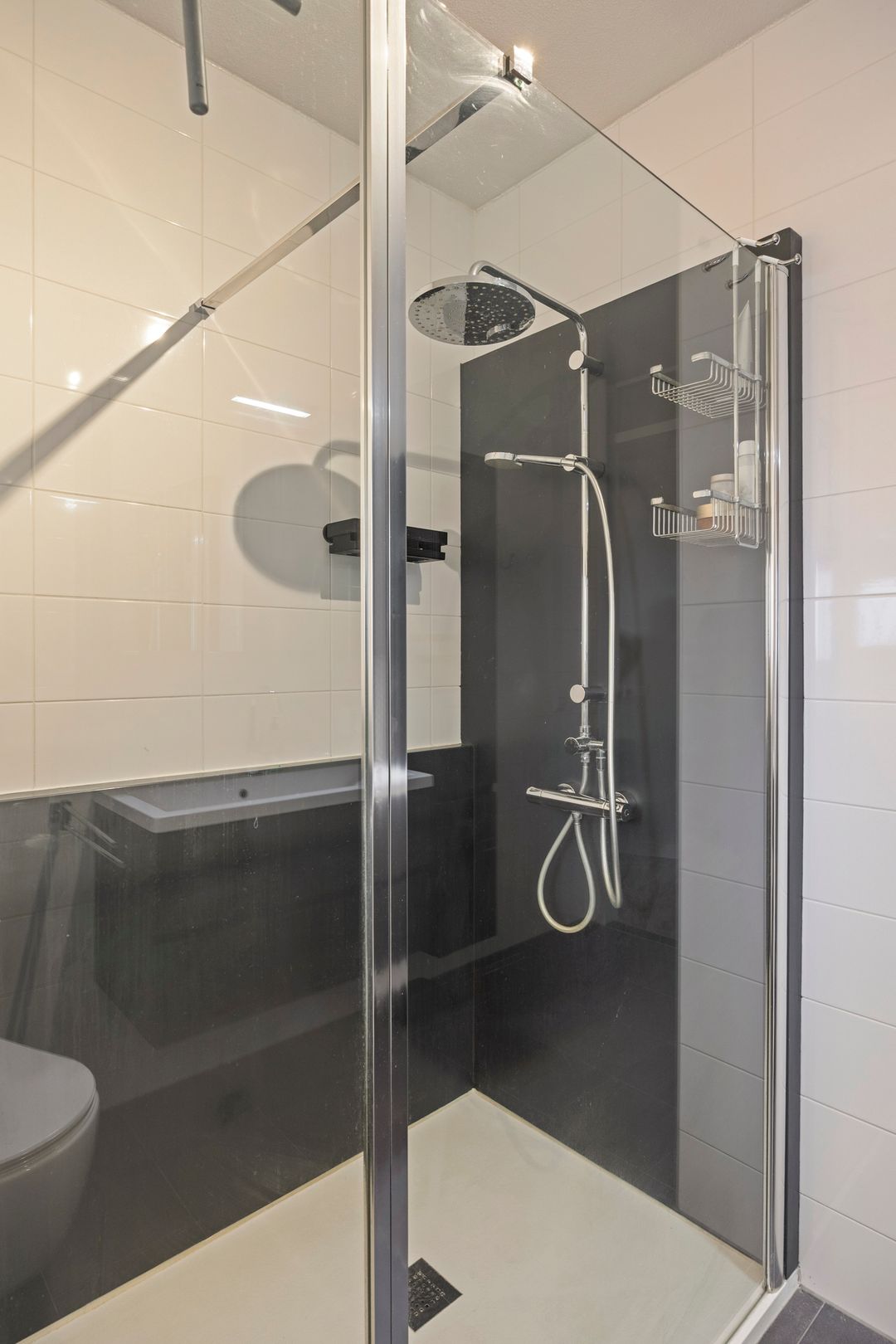 Photo 22 of Zwemkrab 9