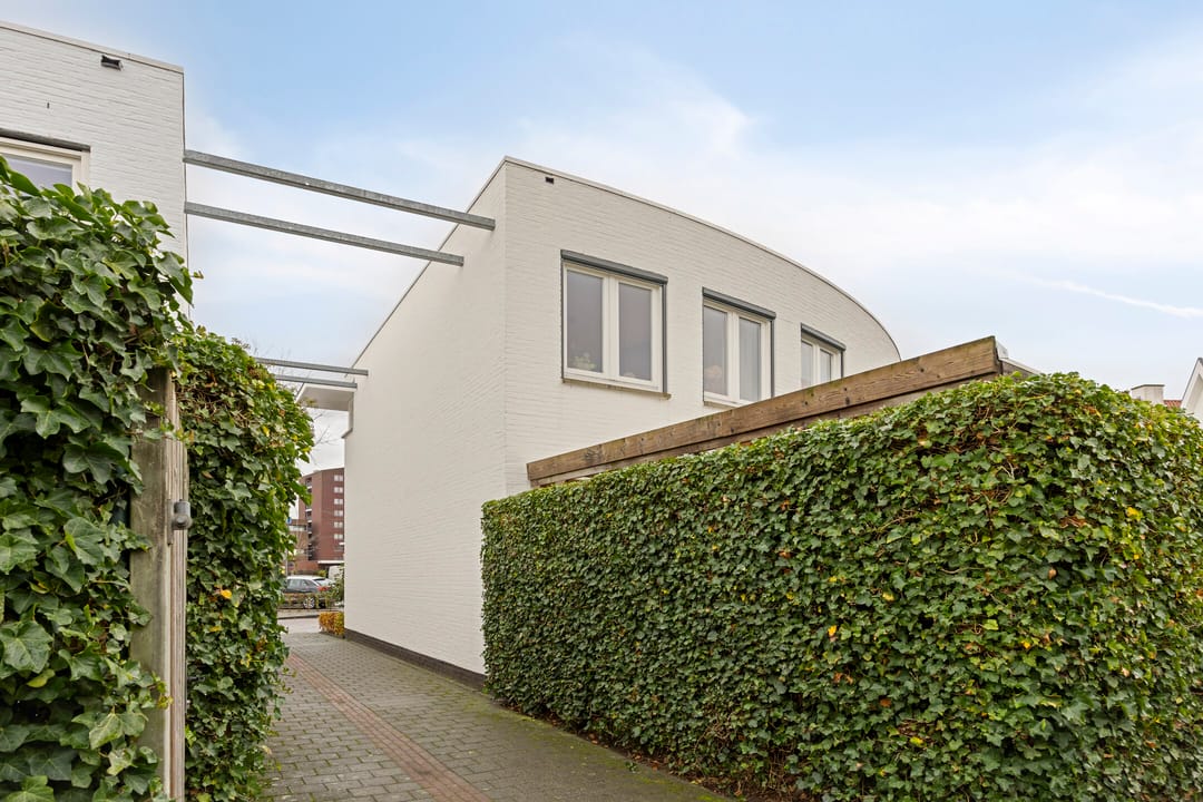 Photo 38 of Zwemkrab 9