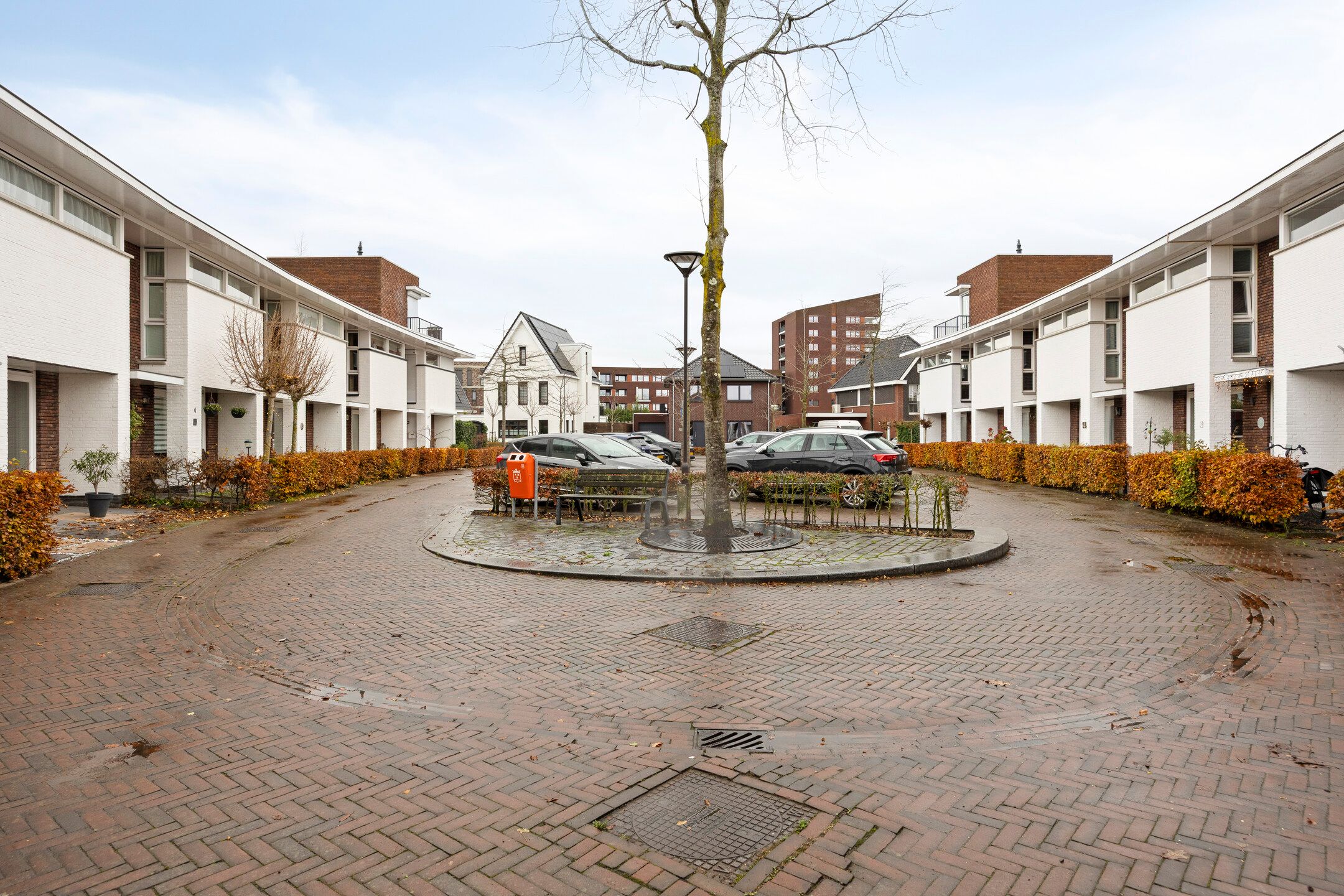 Photo 39 of Zwemkrab 9