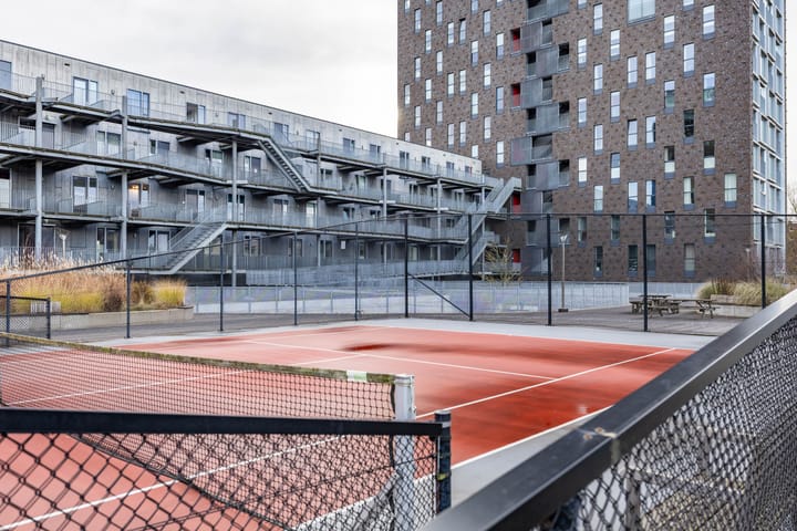 Photo 53 of Het Hout 205