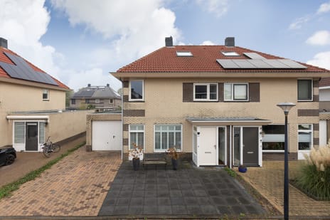 undefined main image