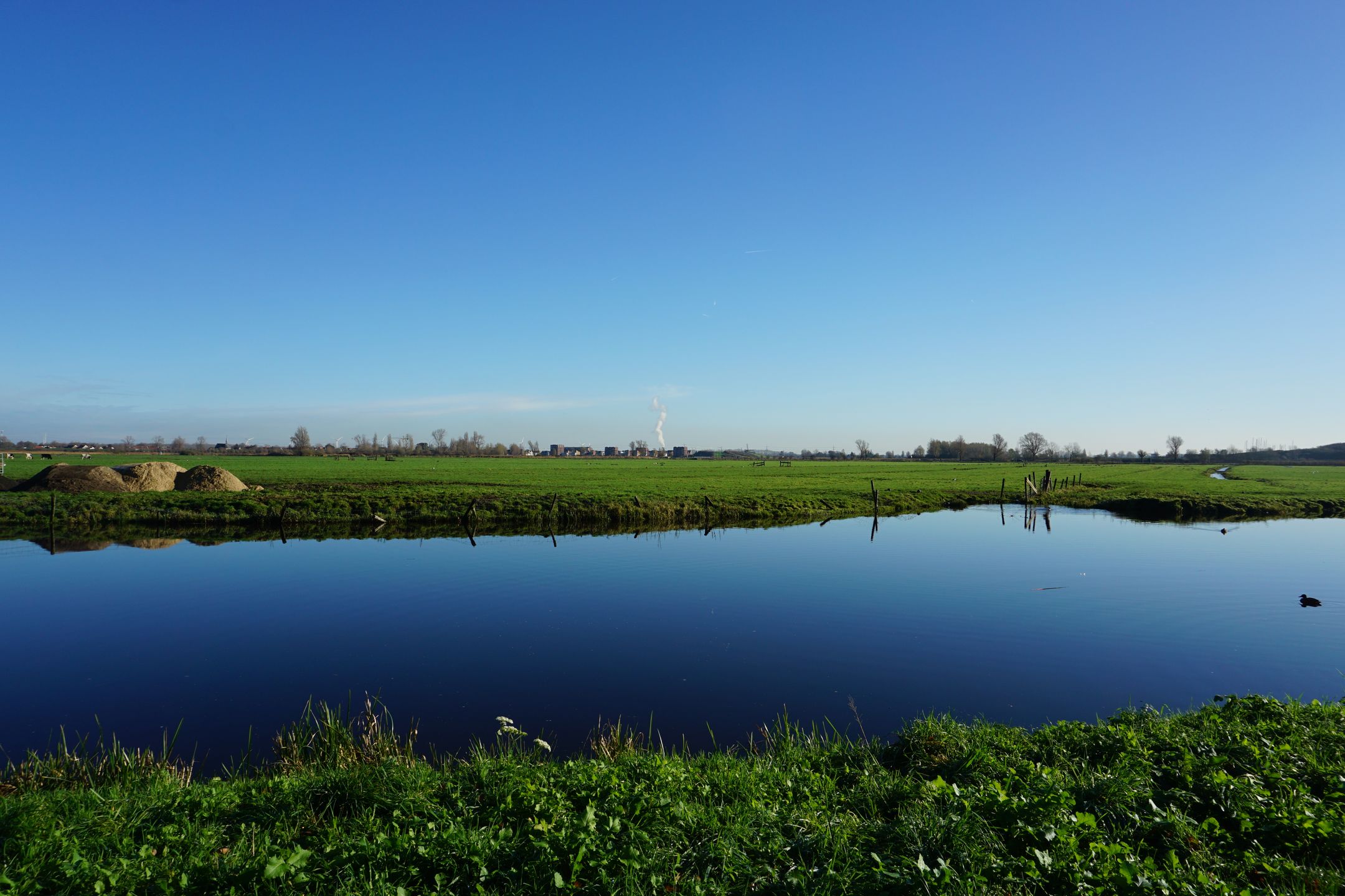 Photo 42 of Vondelweg 154