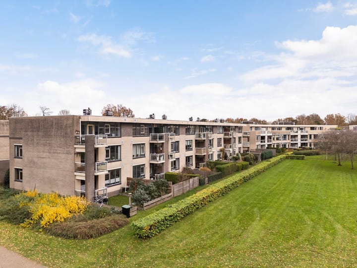 Foto 4 van Springerstraat 103