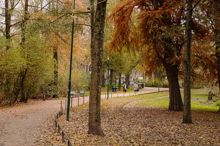 Foto 41 van Sarphatipark 122-2