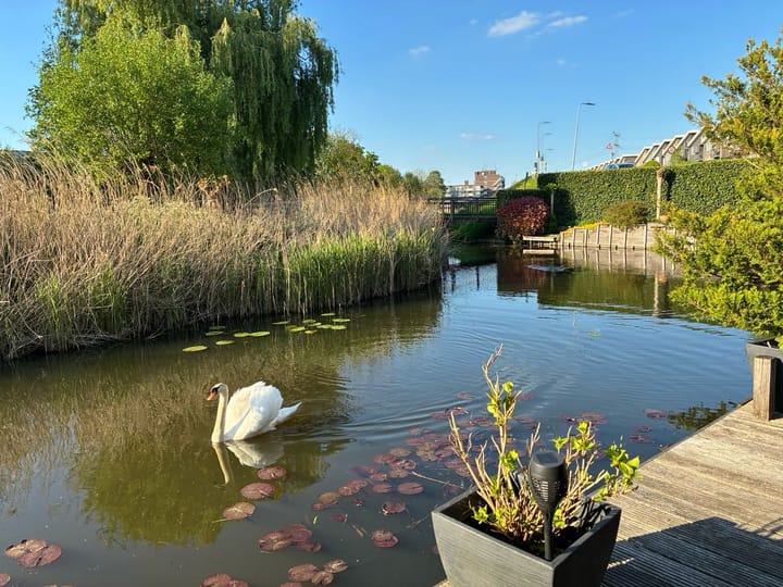 Photo 20 of Paradijsselpark 229