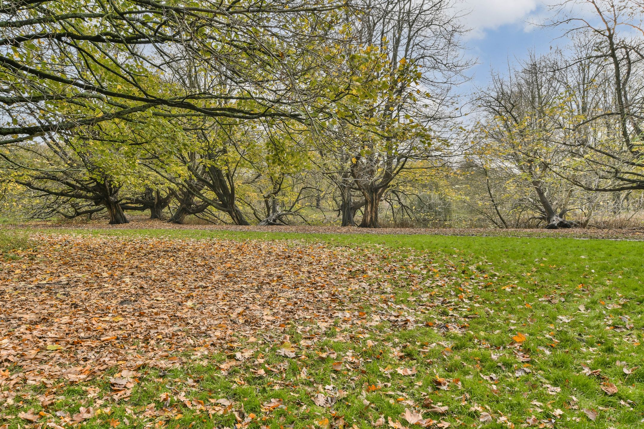 Foto 21 van Van Spilbergenstraat 65-1