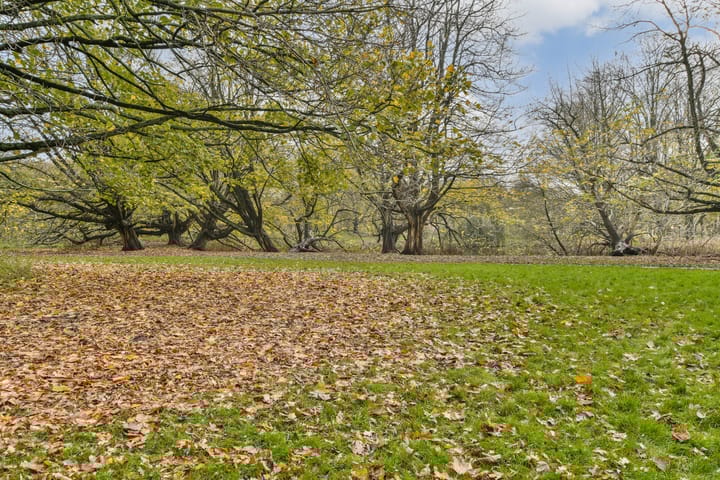 Foto 21 van Van Spilbergenstraat 65-1