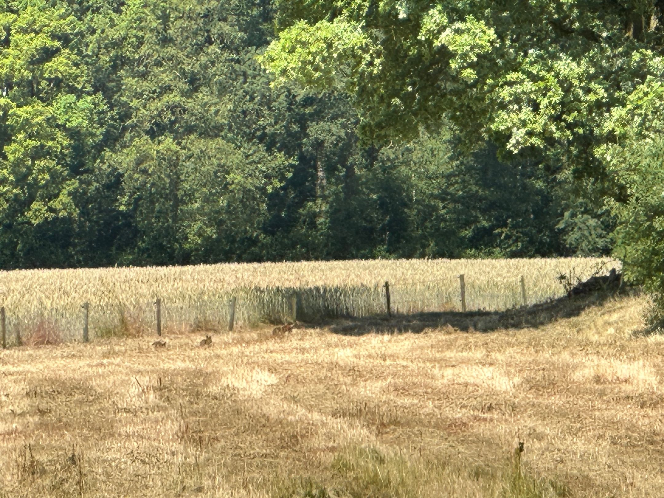 Photo 9 of Hulleweg 3
