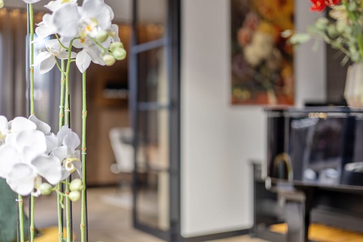 Photo 23 of Veldzoom 2