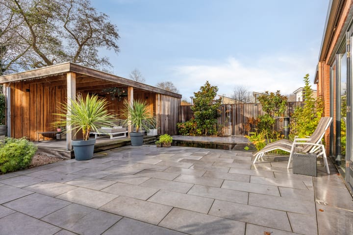 Photo 32 of Veldzoom 2