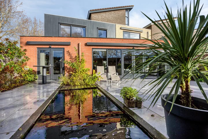 Photo 36 of Veldzoom 2