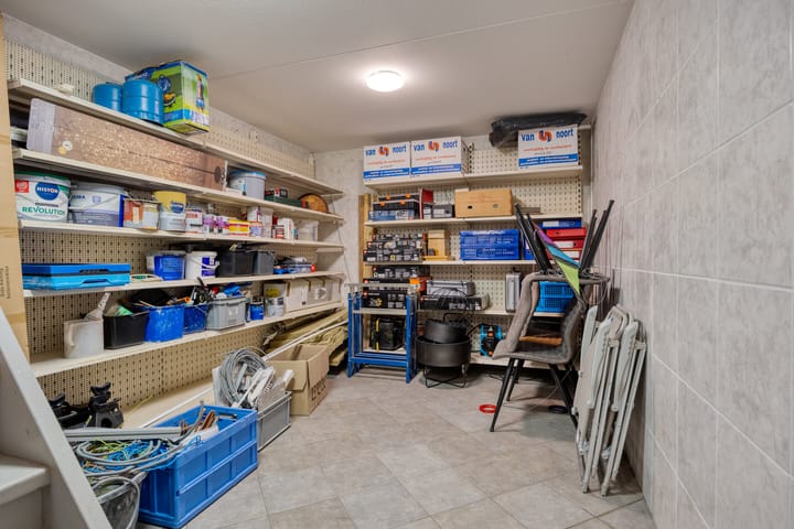 Photo 67 of Veldzoom 2