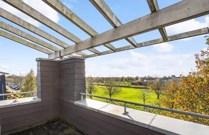 Foto 3 van Mannagras 15