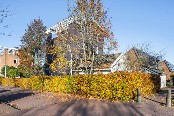 Foto 5 van Mannagras 15