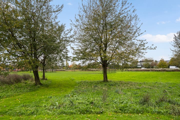 Foto 57 van Mannagras 15