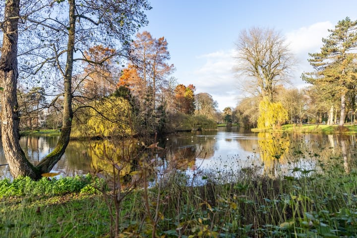 Foto 8 van Nassaustraat 18