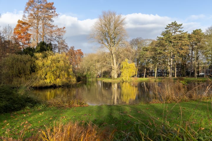 Foto 9 van Nassaustraat 18