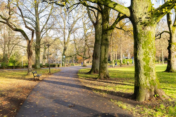 Foto 10 van Nassaustraat 18