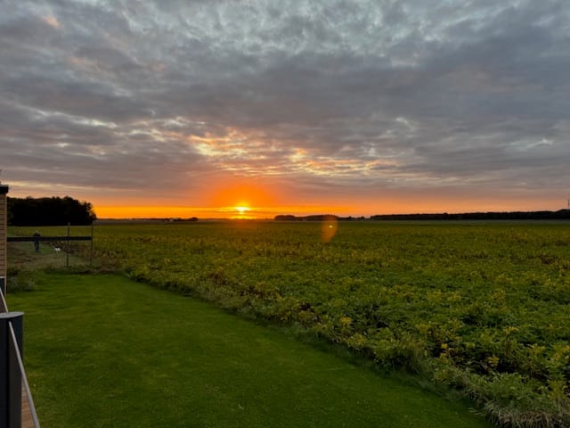 Photo 54 of Ericasestraat 77-A