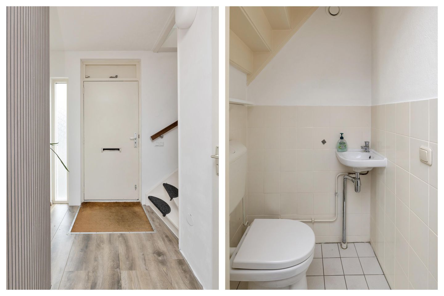 Foto 4 van Leemwierde 1