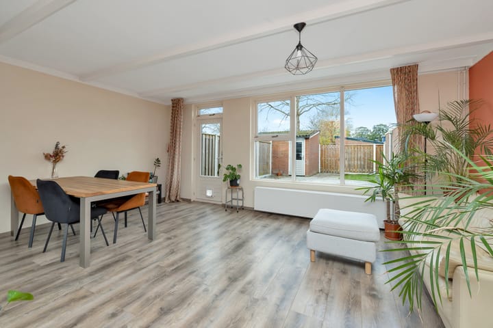 Foto 6 van Leemwierde 1