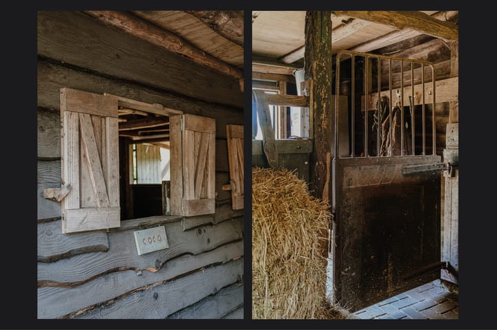 Photo 70 of Den Huizen 6