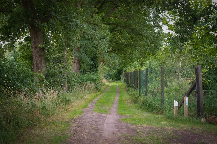 Photo 73 of Den Huizen 6