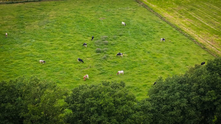 Photo 78 of Den Huizen 6