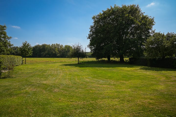 Photo 79 of Den Huizen 6