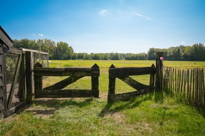 Photo 81 of Den Huizen 6