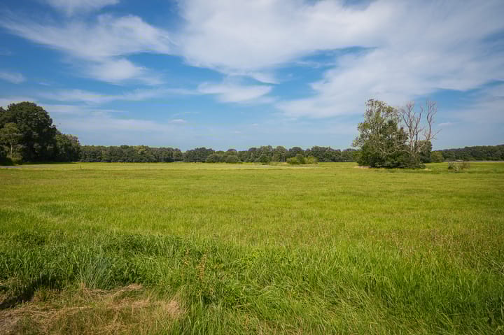 Photo 82 of Den Huizen 6