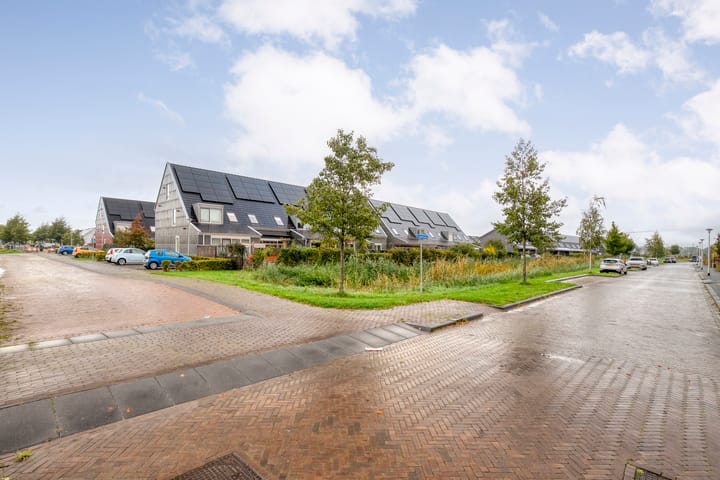 Foto 42 van Loodwitmolen 29