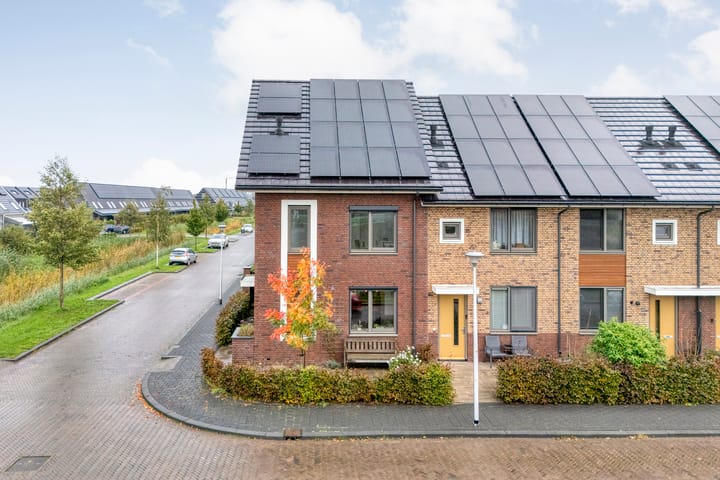 Foto 2 van Loodwitmolen 29