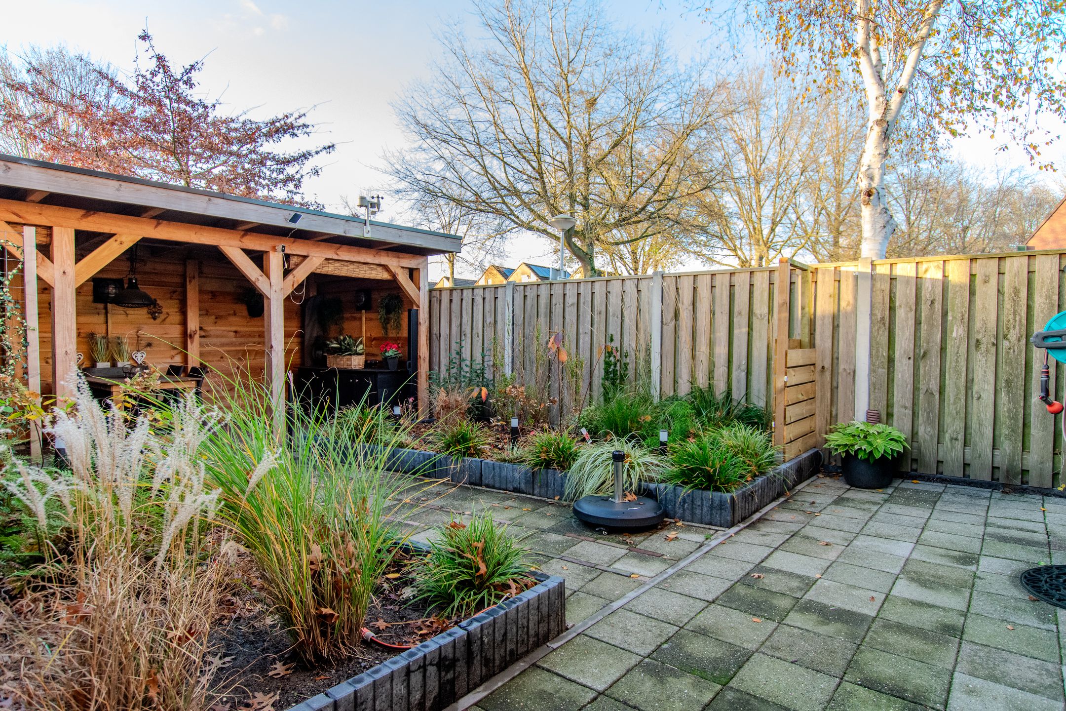 Foto 42 van de Tulp 44