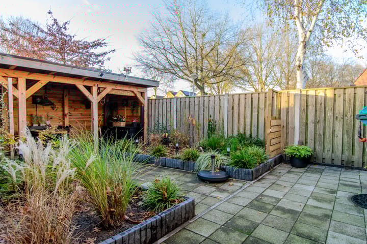 Photo 42 of de Tulp 44