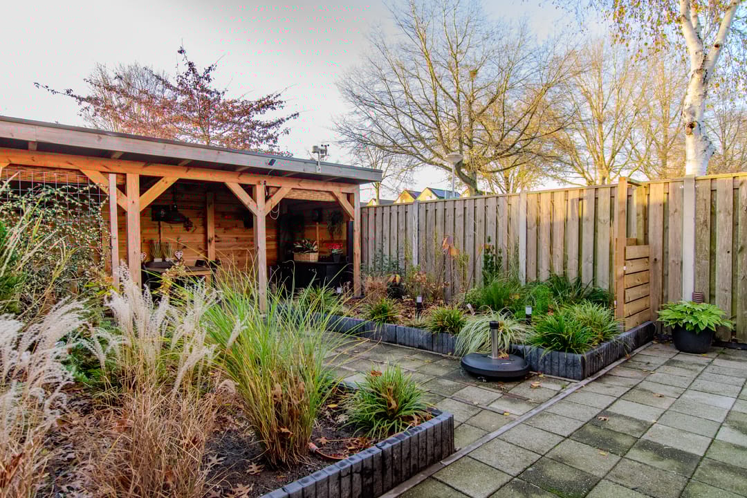 Foto 46 van de Tulp 44