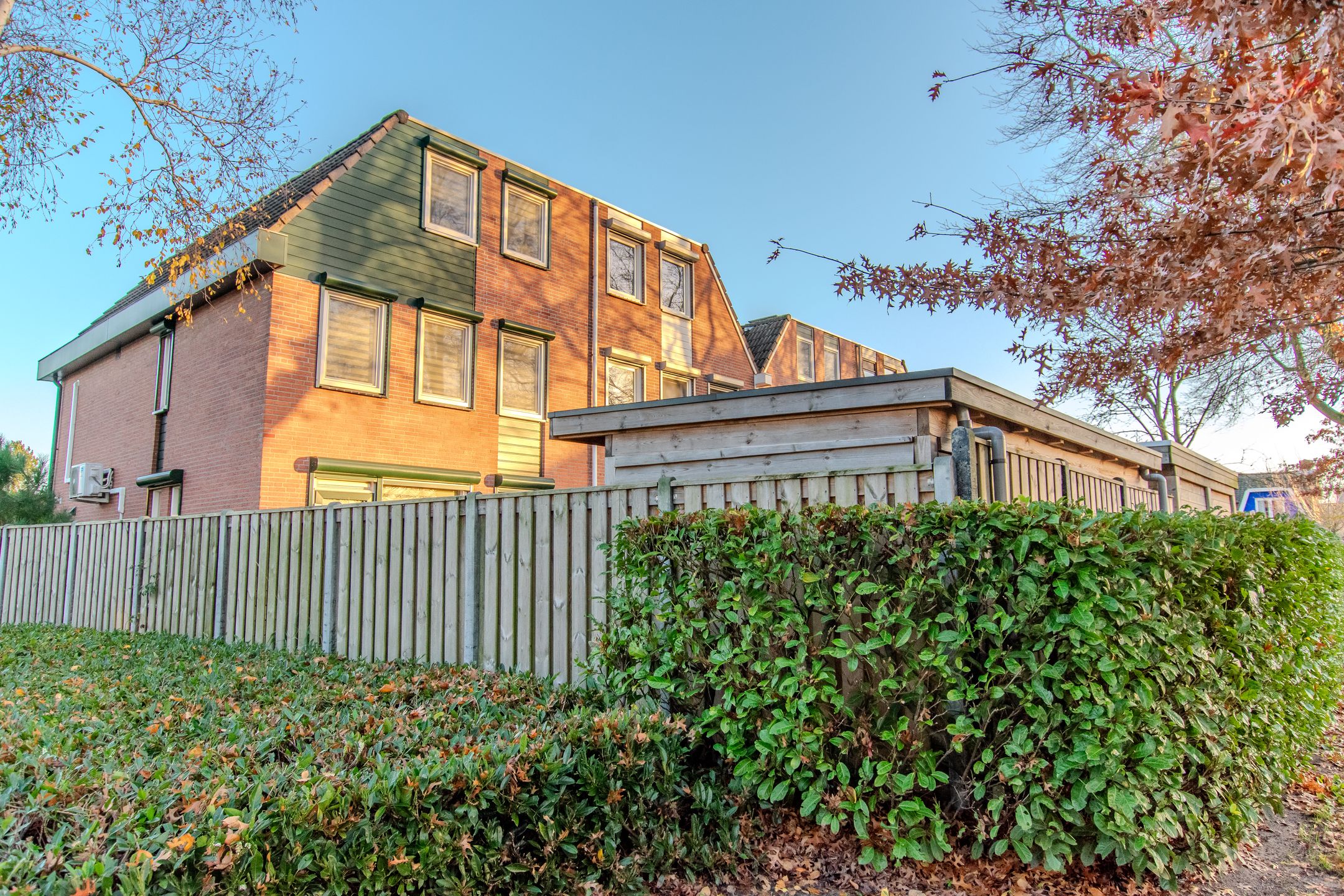 Foto 54 van de Tulp 44