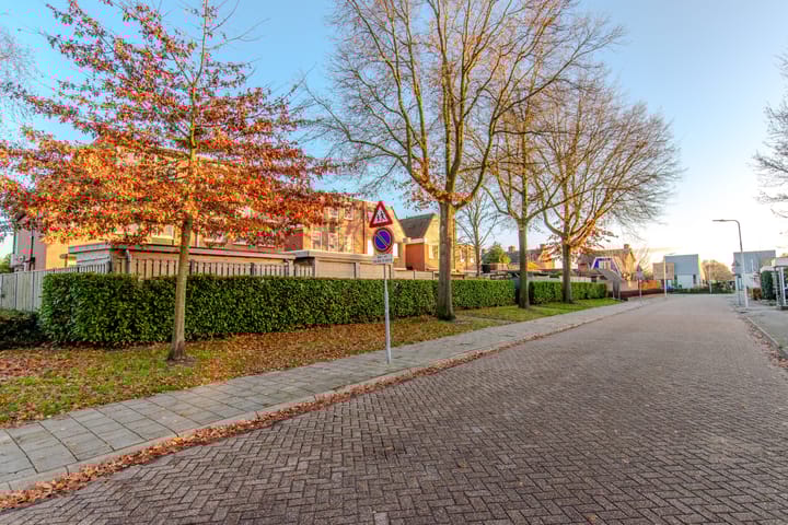 Photo 55 of de Tulp 44