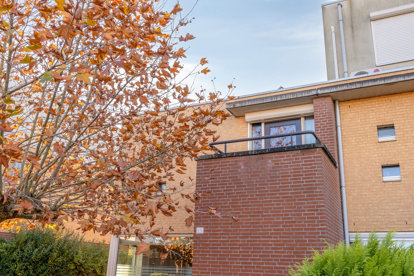 Foto 10 van Nabucco 25