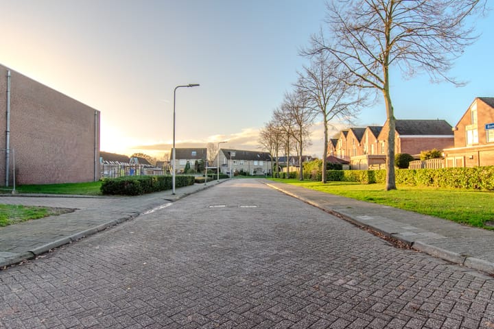 Photo 58 of de Tulp 44