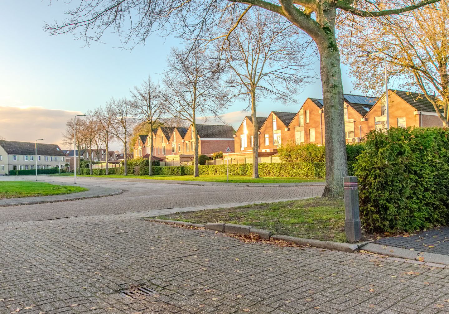 Foto 59 van de Tulp 44