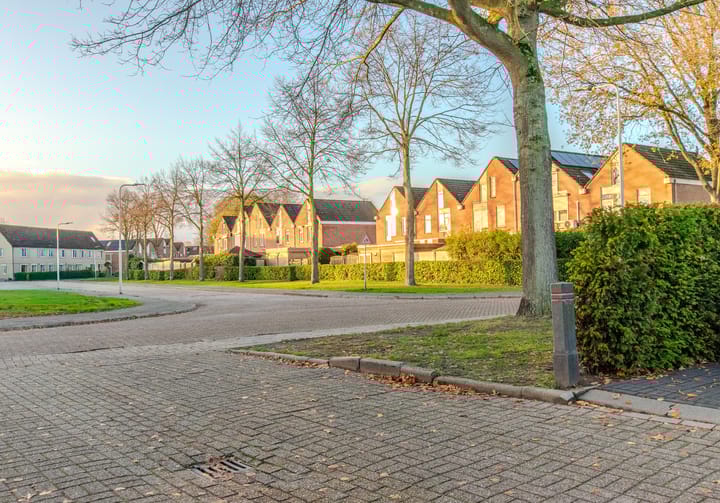 Photo 59 of de Tulp 44