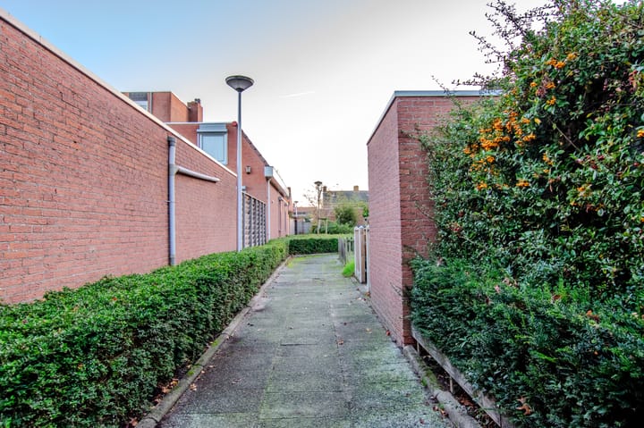 Photo 61 of de Tulp 44