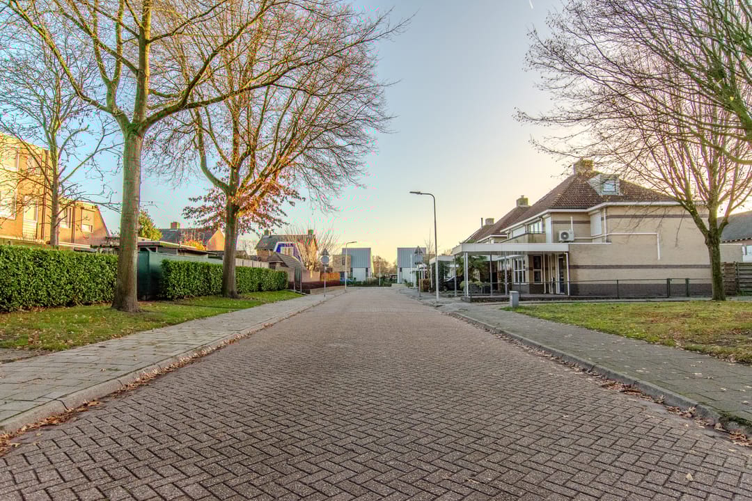 Foto 56 van de Tulp 44