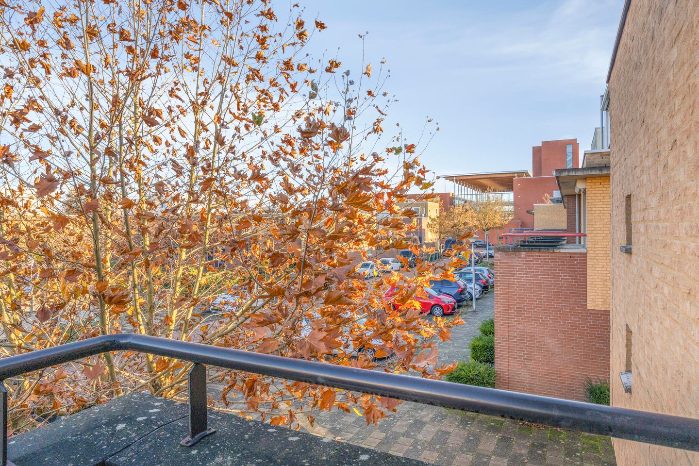 Foto 34 van Nabucco 25