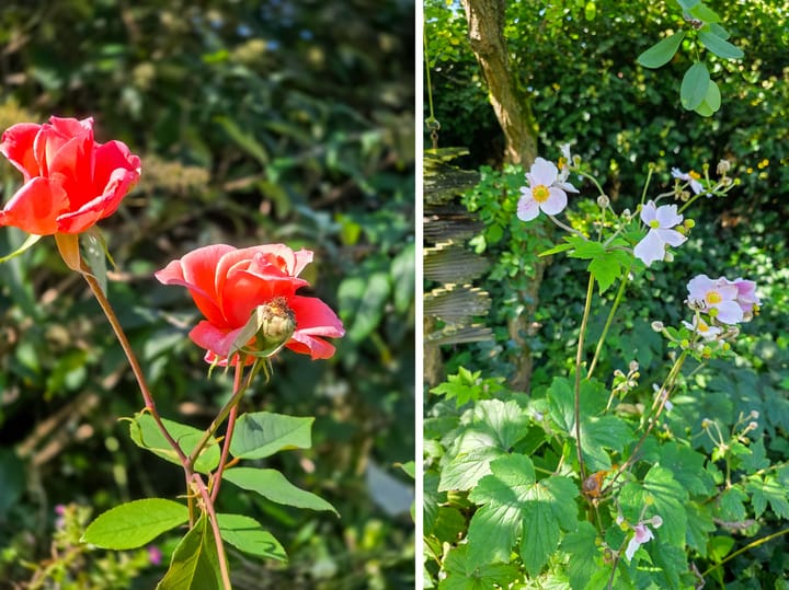 Photo 97 of Klippenweg 13