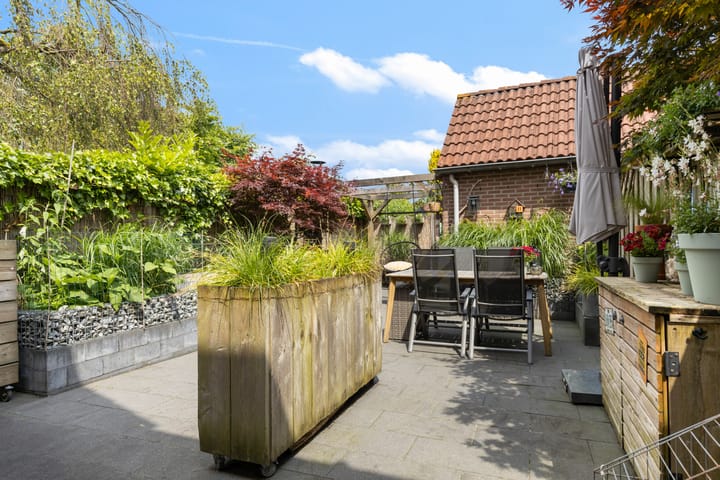 Foto 31 van Harpij 6